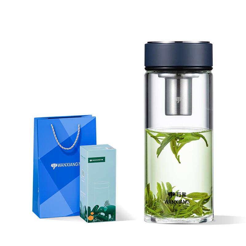 Portable Business Glass Tea Infuser Bottle