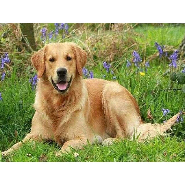 5D DIY Diamant Stickerei Hund Kreuzstich Kit Voll Platz/Runde Diamant Malerei Tier Mosaik Strass Bilder Hause decor