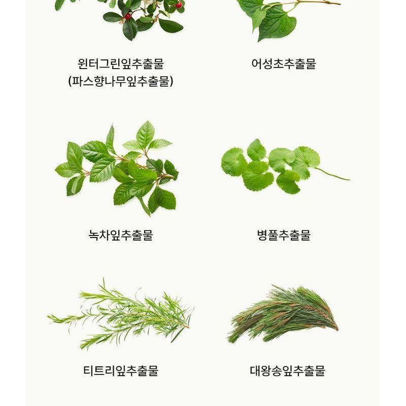 BLITHE - Vital Treatment 6 Calming Leaves Mini