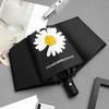 Ins Quan Zhilong Vinyl Umbrella Fully Automatic Umbrella Male And Female Students Gd Small Daisy Folding Sun And Rain Dual-Purpo