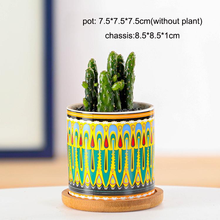 China Manufacturer Multi Color Cylinder Succulent Plant Pot Flower Pot Ceramic for Smart Home Decor