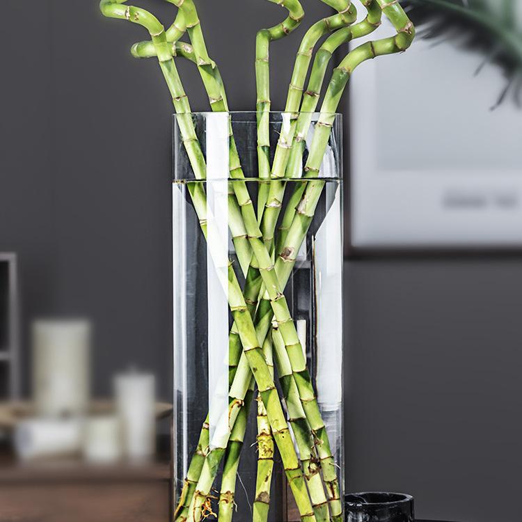 Bardzo Duży Przezroczysty Szklany Wazon do Salonu lub na Stół Jadalny - Idealny do Bambusa, Suszonych Kwiatów i Aranżacji Wodnych