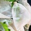 100Pcs Non-woven Fruit Protection Bags Anti-bird Breathable Nursery Bags Anti-sun Corrosion-resistant Insect Proof Bag