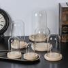 Home Decor Vases Glass Flower Display Cloche Bell Jar Glass Bottle with Wooden Base Dust Cover Display Box Immortal Flower Box