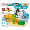 Brinquedos de construção e engenharia – Brinquedos de montar
