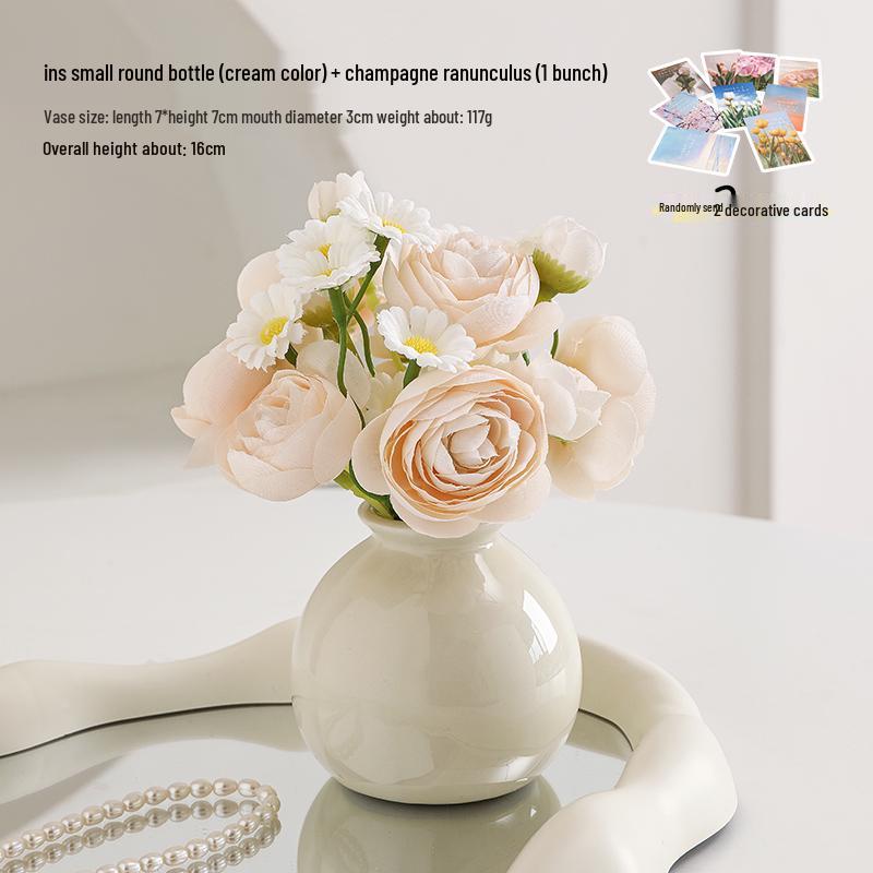 Small Ceramic Desktop Hydroponic Vase for Pothos - Simple Decorative Ornament for Office