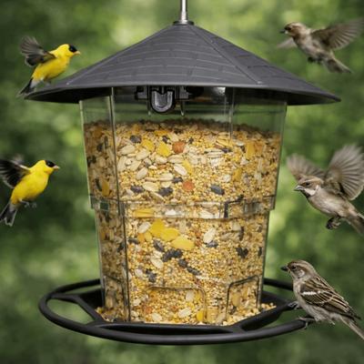 Folding Hanging Bird Feeder Bite Resistant Large Capacity Wild Bird Feeders Waterproof Bird Feeder Tray Outdoor Decoration