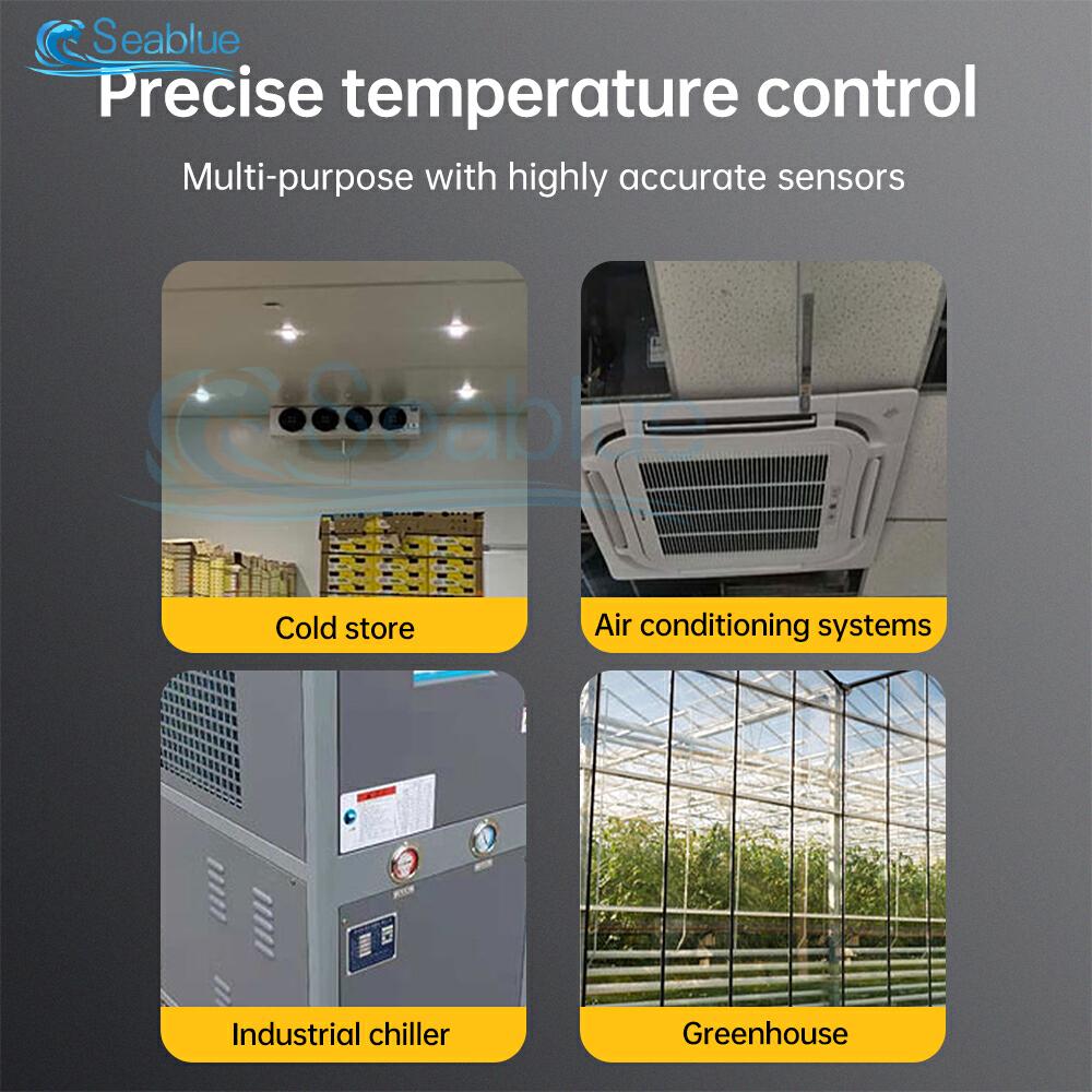 ETC-974 LED Digital Temperature Controller Thermostat Thermoregulator Incubator 12V 24V 110V 220V With 2Pcs 2M Sensor