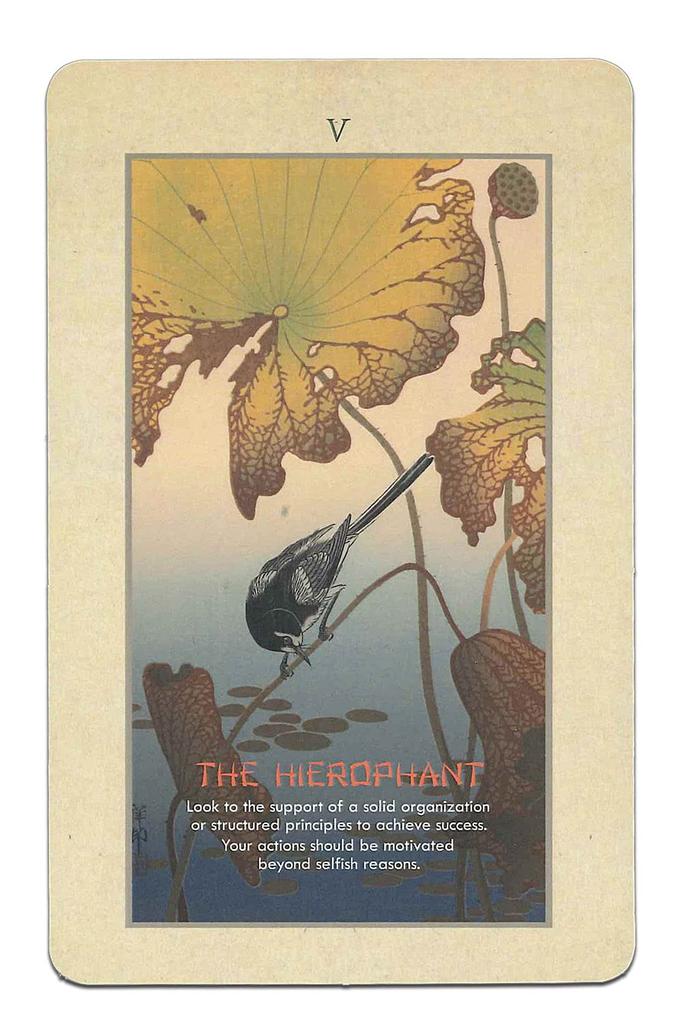 Nichiyu Tarot Waite Fortune Telling Direct Import from the Koson Tarot Arcana Includes Japanese Instruction Manual and Flower and Bird 22-Card Cards,