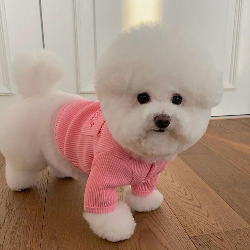 Autumn pet Teddy Bichon Pomeranian Maltese Yorkshire terrier small dog dog clothes autumn