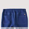 Dickies Straight Pants Unisex Light Denim M 5022SC