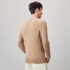 Men's 100% Wool Round Neck Sweater