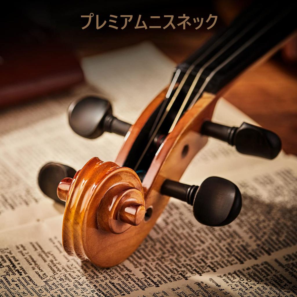 Eastar Violin Solid Wood Violin Set with 2 Bows for Beginners and Advanced Violin Players 4/4 EVA-330