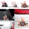 Bulldog 3D Cartoon Puppy Car Window Decal P119