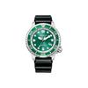 Green Dial – matches the image