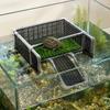 Platformă de Soare pentru Cheloniene cu Reglare a Nivelului Apei, Patru Cleme cu Șurub, Cale de Acces Înclinată și Platformă Perforată deasupra Apei pentru Habitate Acvatice