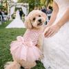 Sequin Pet Princess Dress Lace Bow Dog Tulle Skirt Pet Wedding Dresses  Party Wear
