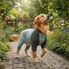 Quick Drying Dog Cooling Jumpsuit Breathable Dog Sunscreen Costume  Spring Summer