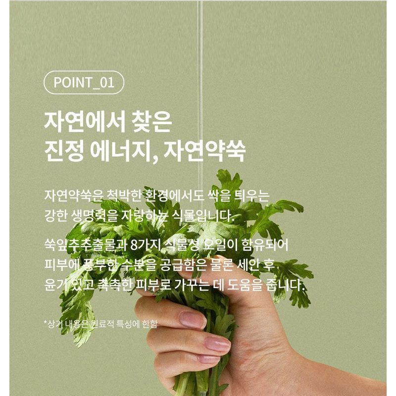 Fraijour - Original Herb Wormwood Cleansing Oil