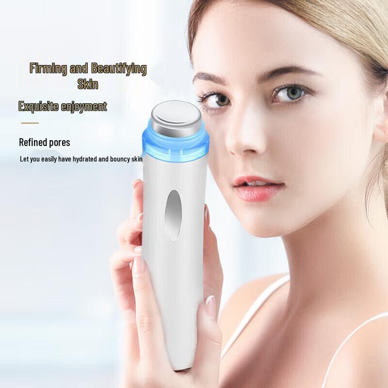 KinGdom Ultrasonic Facial Massager