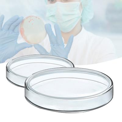 Piatto di coltura da 60-100 ml, trasparente, resistente al calore, ecologico, professionale, in vetro, per laboratorio