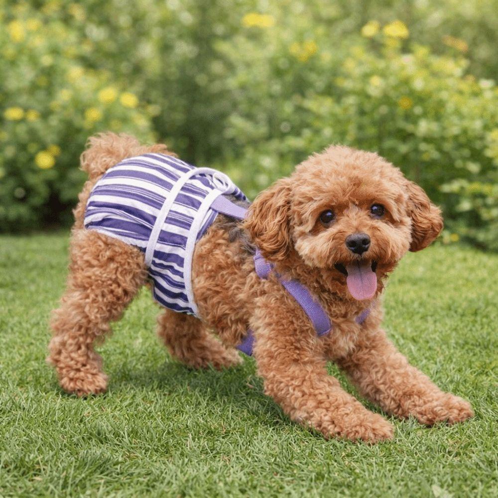 Striped Design Dog Diaper Suspenders Washable Pet Physiological Pants  Puppies Period