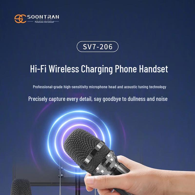 Songchuan Portable Outdoor Bluetooth Karaoke Speaker CN plug (adapter included)