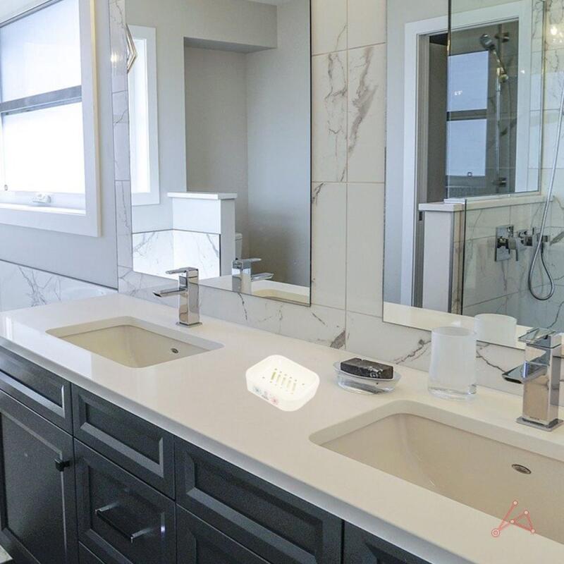 Double Drain Soap Dish