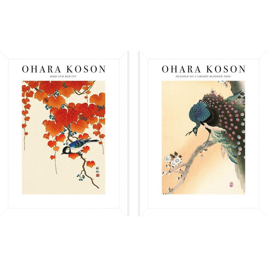 Ohara Koson Bird And Red Ivy Peacock On A Cherry Blossom Framed Print Set  (Pack of 2)