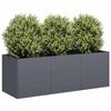 VidaXL Anthracite Planter 120x40x40 Cm Cold-rolled Steel, Flower Pot, Plant Stand, Raised Bed, Support of 860677