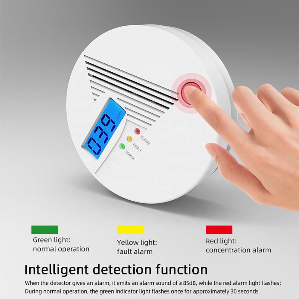 Graffiti Smart WiFi Carbon Monoxide & Gas Detector for Home