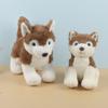 Cute Simulation Puppy Dog Doll Plush Toy Husky Doll Children Soothing Rag Doll Girl Birthday Gift
