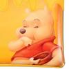 DISNEY Pencil Cases and Pen Cases Winnie the Pooh HONEY DAY Japan NEW