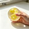 Stress Relief Ball Toys Shapeable Pearlescent Fidget Toy, Anxiety Clear Squeeze Fake Fruit Inside Toy for Kids Adults Stretchy