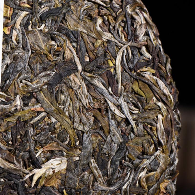 357 g Frühlings-Cha-Tee Hochgebirgs-Urbaum-Pu-Erh-Tee Bio-Grüntee