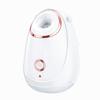 Facial Spray Moisturizing Device Portable Hydrating Facial Steamer Home Nano Heat Spray Facial