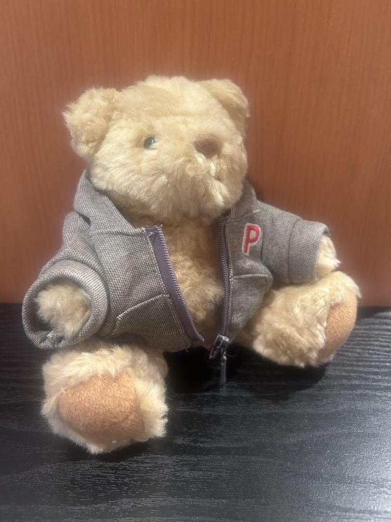 [USED] shaly bear teddy bear detachable hoodie