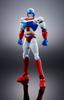 TAMASHII NATIONS Soul of Chogokin Machine Robo Baikanfu GX-39R (Renewal Version)
