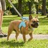 Atmungsaktive Hundegeschirr Weste Zugstopp Y-förmiges Hundegeschirr Brustgurte Hund Brustgurte Täglicher Spaziergang