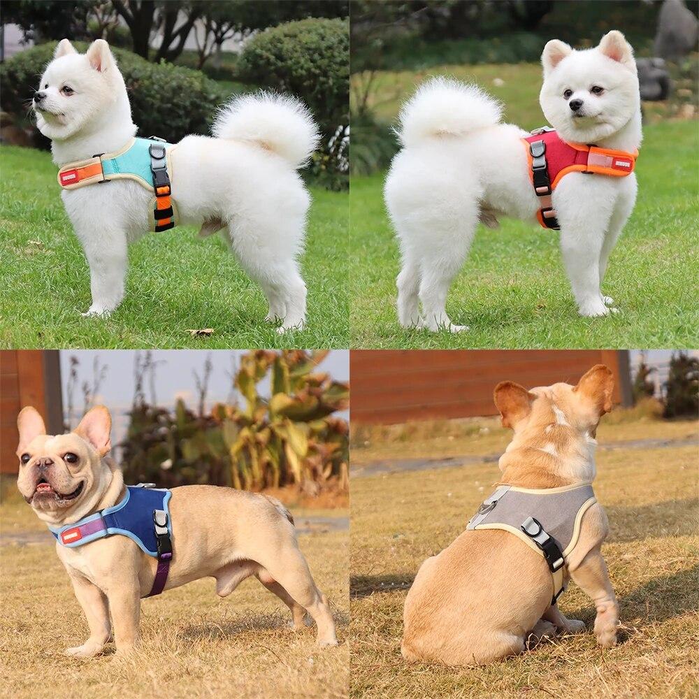 Reflective Dog Harness and Leash Set No Pull Adjustable Small Medium Dogs Breathable Pet Harness Vest Strap Lead Walking