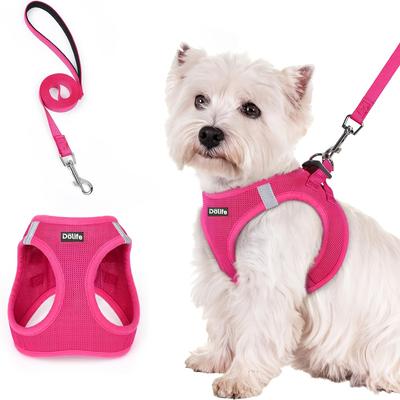 1pcsWalk-in Dog Harness and Leash Set All-Weather Breathable Mesh