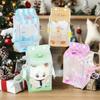 Transparent Doll Carrying Case With Lanyard Storage Bag Doll Doll Display Bag  Bag Decoration