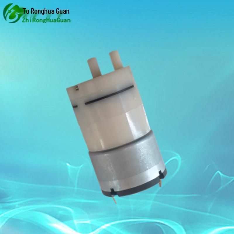 Ronghua Guan 520-03PM: Silent Miniature Vacuum Pump (6V, 12V, 24V)