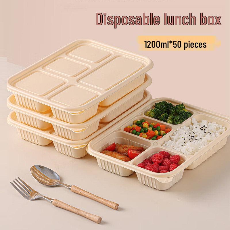 ZISIZ Biodegradable Disposable Lunch Box