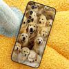 Golden Retriever Dog Case For Xiaomi 15 14 Ultra 13T 14T 15T 17 Pro Max Cover For POCO X7 F8 Pro X3 X5 X6 F5 F6 F7