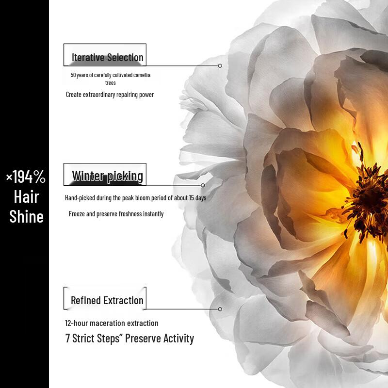 Kérastase Radiance Shampoo & Elixir Ultime Hair Oil Duo Set