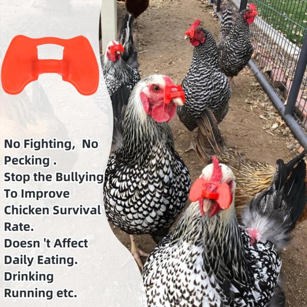 60 Stück Pinless Peepers für Hühner mit Zange Anti-Pick-Brillen Hühnerblenden Hühnerbrillen Fasan Geflügelblenden