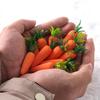 12Pcs Creative Mini Easter Carrots Handmade Realistic Artificial Foam Carrot Lightweight DIY Craft Happy Easter Ornaments