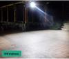 Golden Bean LED Solar Street Light for Garden and Courtyard