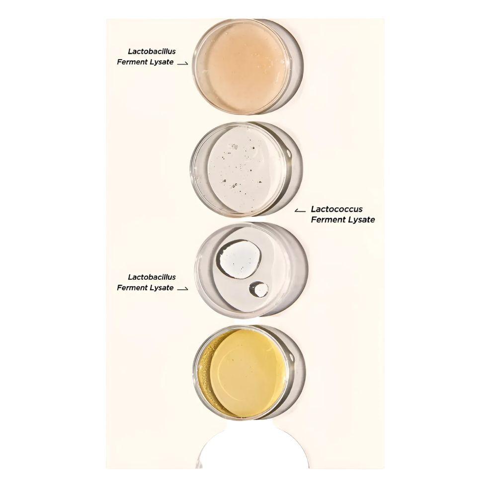 MANYO FACTORY Bifida Biome Ampoule Toner 400ml X 1